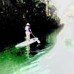 Meet your Posher, Mindy